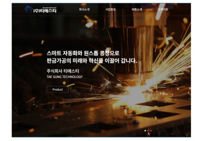 (주)티에스티 국영문홈페이지